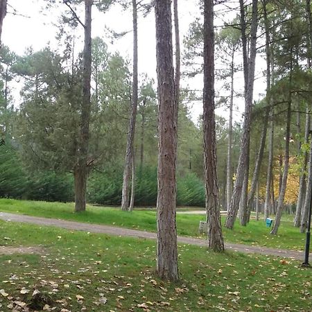 Camping Caravaning Cuenca Cuenca  Exterior foto
