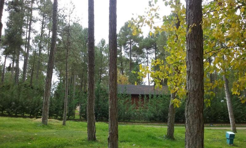 Camping Caravaning Cuenca Cuenca  Exterior foto