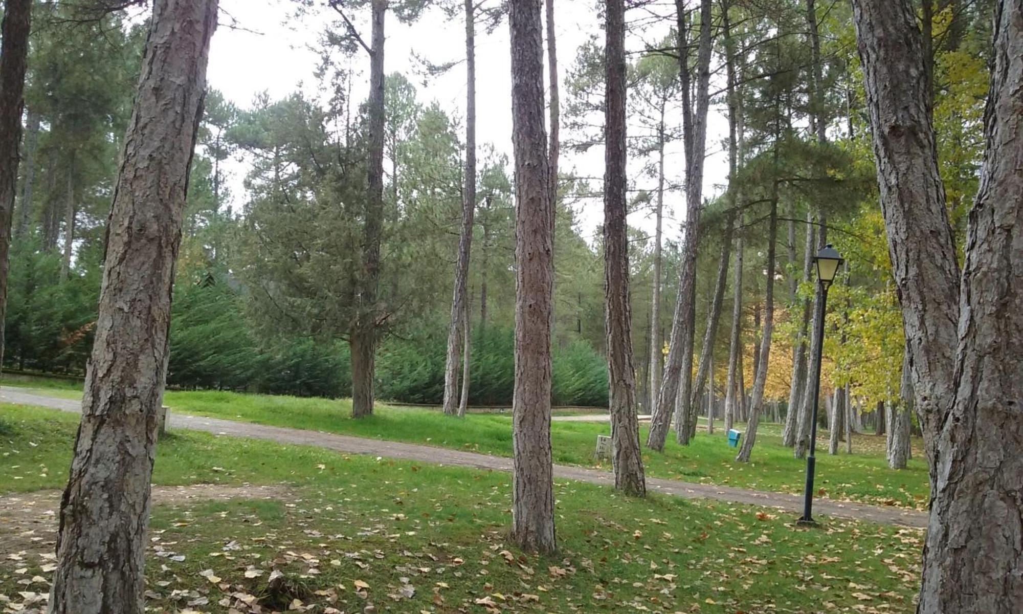Camping Caravaning Cuenca Cuenca  Exterior foto