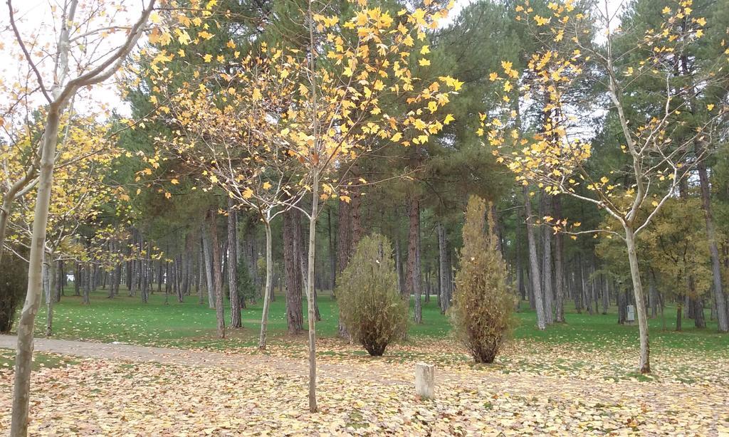 Camping Caravaning Cuenca Cuenca  Exterior foto